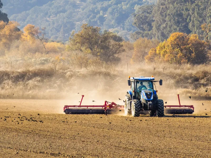 Agricultural Oils